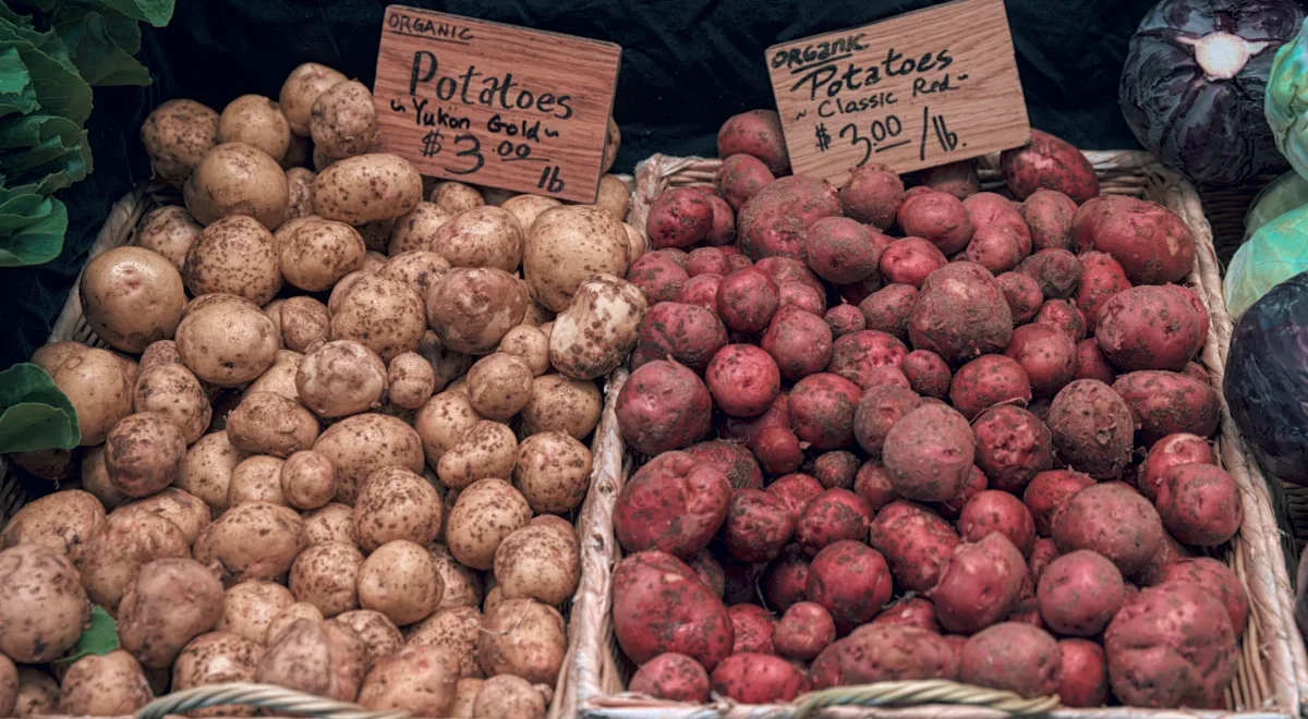 How To Store Potatoes