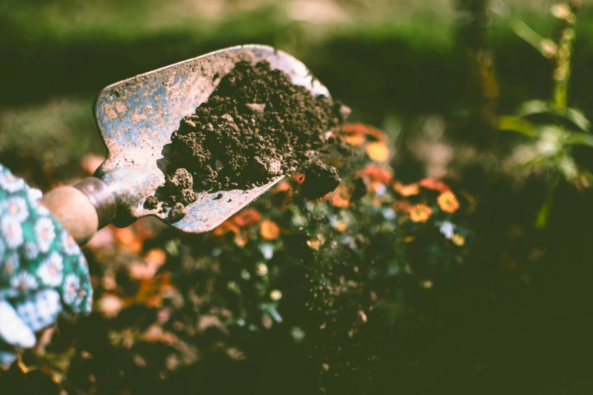 a photo of a garden hand trowel